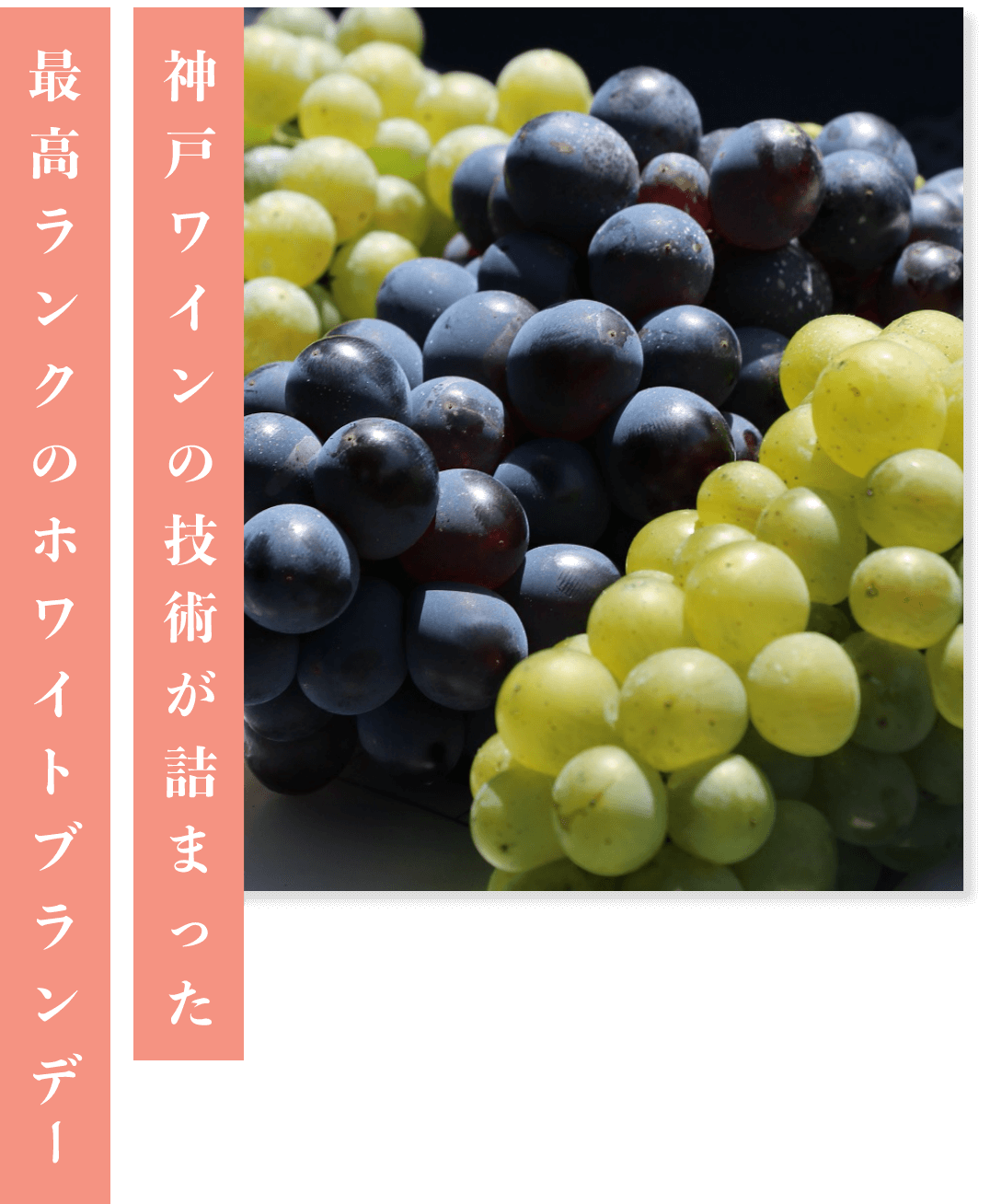 神戸ワインの技術が詰まった 最高ランクのホワイトブランデー